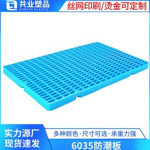 6035防潮板加厚仓库网格塑胶托盘 防霉地台栈板宠物垫板防滑卡板
