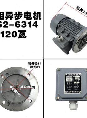 三相异步电动机 轴11 型号TS2-6314 120瓦电机 220/380伏