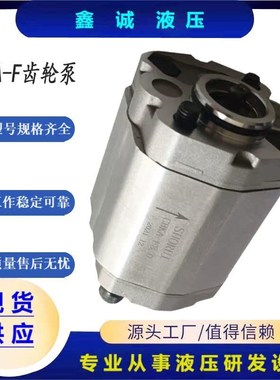 齿轮泵CBKA-F8/F2.6/F1.6/F4.8/F3.2/F1.2/F2.1/F7/F0.63举升机