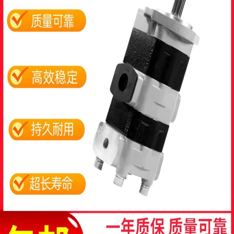 CBKL-G432/E416-AT双联齿轮油泵CBKL-G40/G20-ATL,标准件/零部件/工业耗材,液压泵,淘宝优惠券,粉丝福利购,淘宝优惠卷