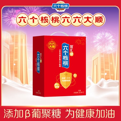 节日礼盒六个核桃240ml*16罐