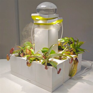 猪笼草专用 适用食虫植物 LeGrow组合桌面花盆含植物灯含加湿器