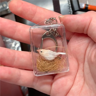 透明经文盒小鸟毛收纳可打开嘎乌盒空盒吊坠挂件透明亚克力饰品盒