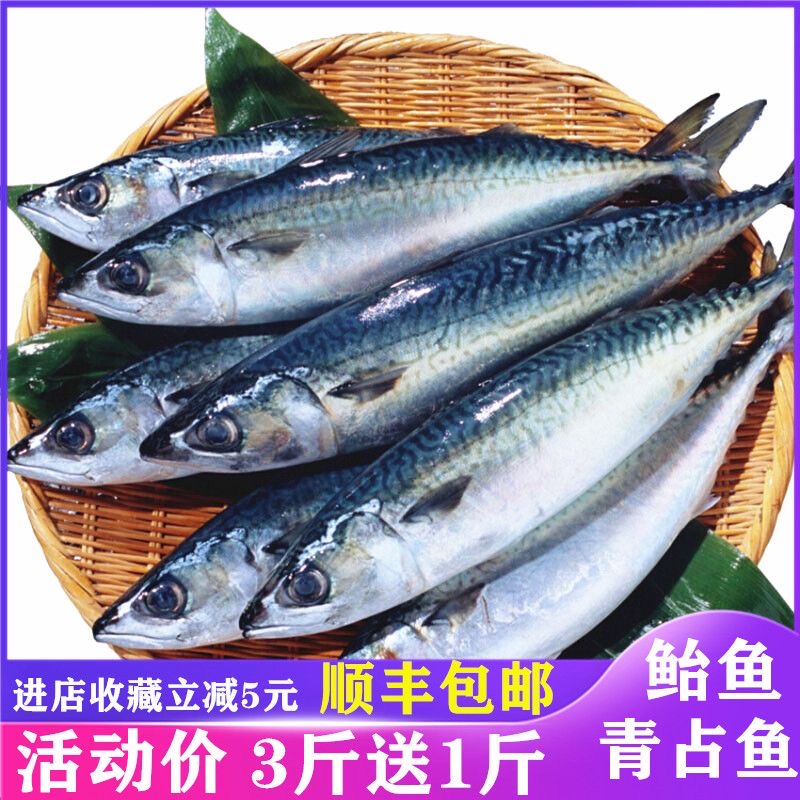 鲐鱼青占鱼【3斤送1斤】