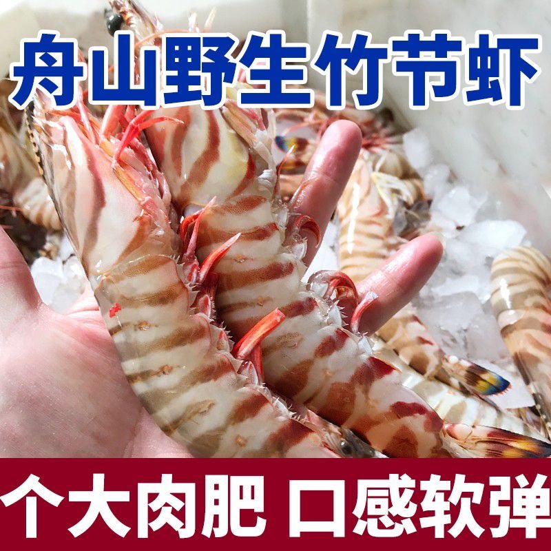 竹节虾鲜活特大号新鲜冷冻大虾海虾斑节虾对虾九节虾非基围虾