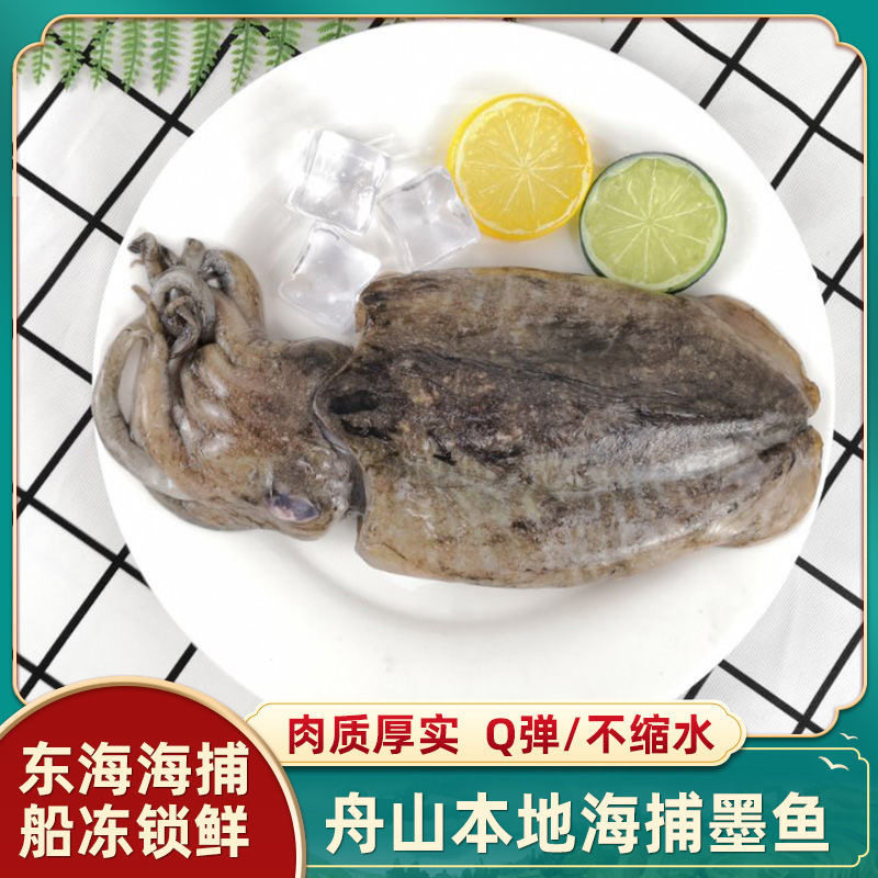 舟山东海海捕墨鱼新鲜冷冻目鱼乌贼章鱼墨斗鱼冰冻海鲜水产包邮