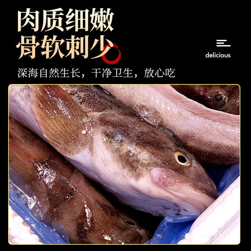 海鲶鱼新鲜胖头鱼新沙光鱼鲜活