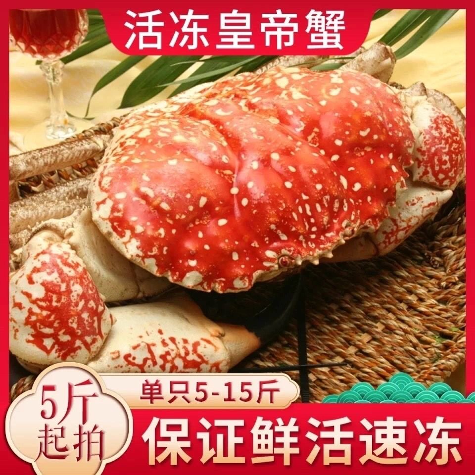 超低温速冻澳洲皇帝蟹5-15斤超大冰鲜海鲜水产品顺丰包邮上海发货
