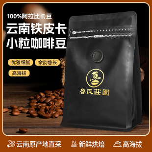 高端精品中度铁皮卡咖啡豆227g橘柑蓝莓果香手冲冰咖顶配