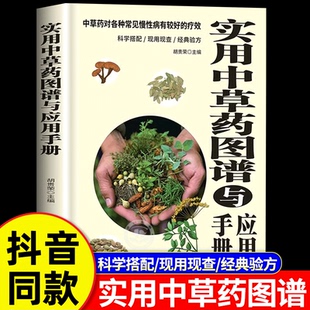 实用中草药图谱与应用手册彩色中草药识别与应用图谱常用精新编正版书籍中草材配方大全药材科学搭配现查现用经典验方中医养生基础