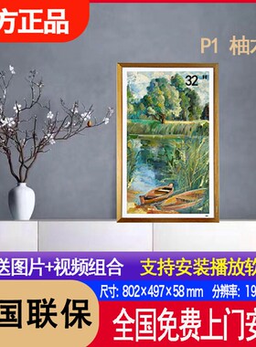 BOE/京东方32英寸电子相册S2数码相框艺术挂墙高清画屏类纸显示屏
