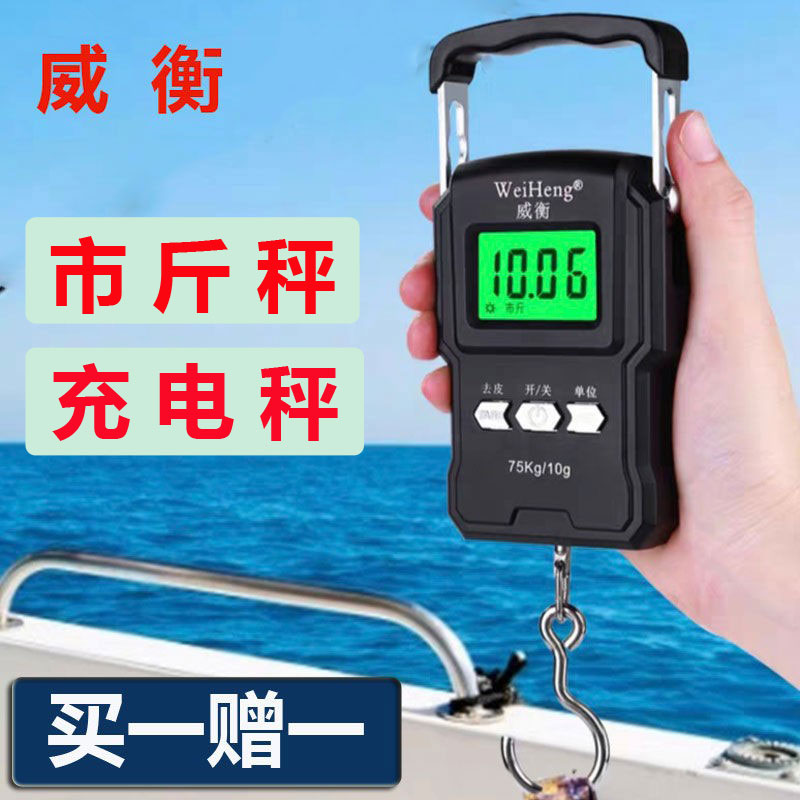 威衡小型手提电子秤快递手钩秤家用高精度便携买菜防水充电小克称