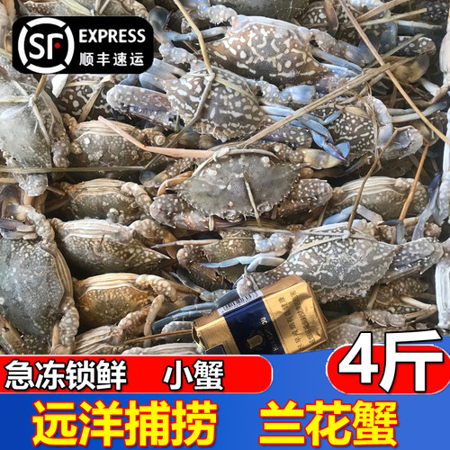 鲜冻兰花蟹公蟹速冻冷冻螃蟹海捕海鲜海蟹白蟹保鲜不保活顺丰包邮