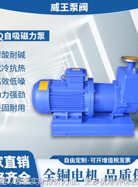 厂家直销不锈钢自吸式磁力泵，ZCQ32-25-145耐腐蚀无泄漏磁力泵