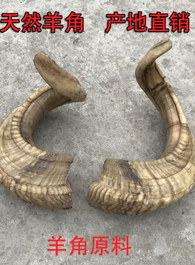 天然绵羊角原料刮痧板羊角梳原料山羊角原料中药 摆件DIY饰品