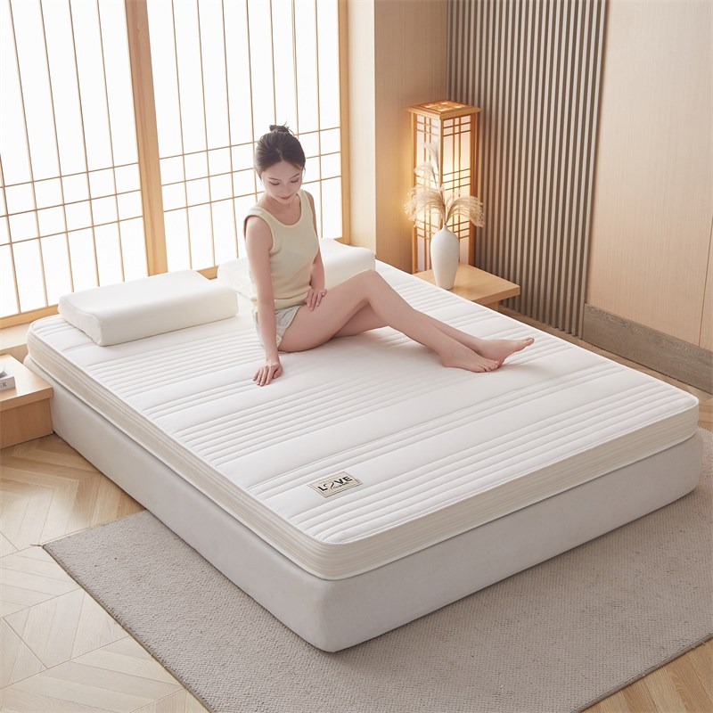 乳胶床垫软垫家用卧室榻榻米记忆棉垫子宿舍学生单人床褥子海绵垫