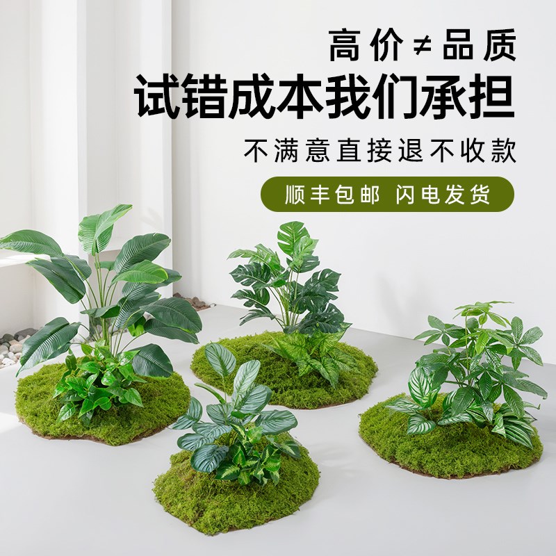 装饰绿植仿真高级感客厅隔断组合假植物室内橱窗落地景观装饰摆件图片