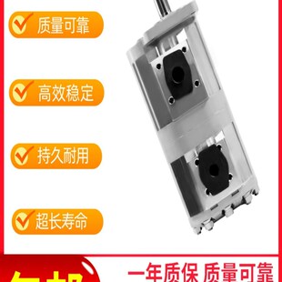 F563 F520 F532 F540 BFHL BFHL双联齿轮油泵CBNL CBNL