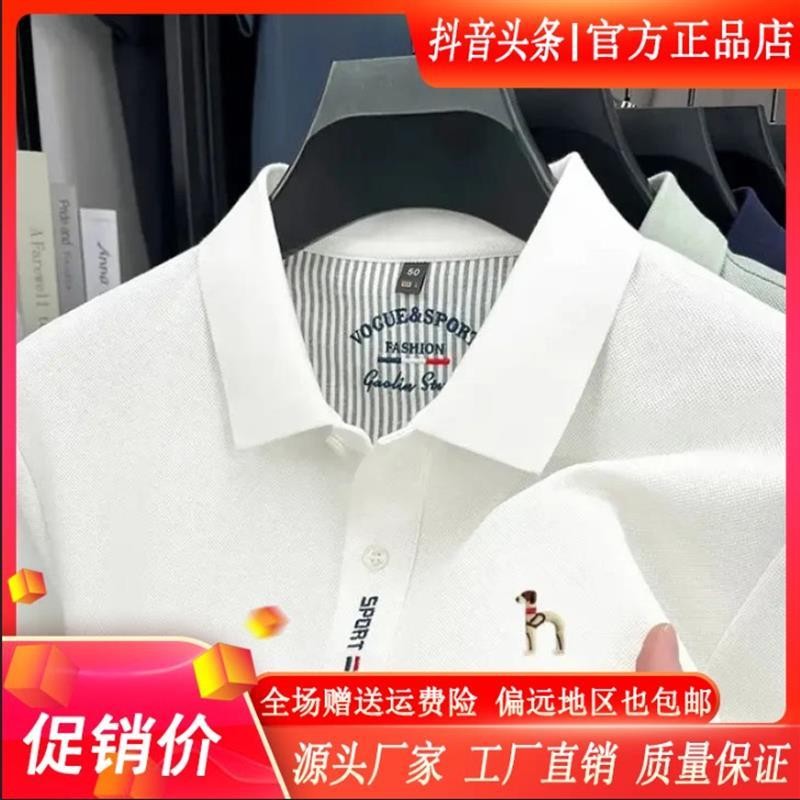 师凯服饰品质甄选专柜品质夏季款短袖T恤男h士纯棉翻领休闲polo衫