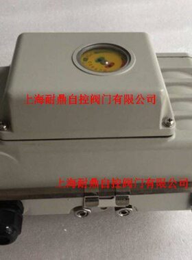 DY-60 DY-05R DY-10 DY-25S -40 DY-50 200M DY-100Z电动执行器