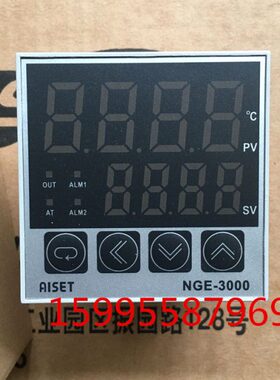 AISET上海亚泰仪表有限公司NGE-3000温控仪NGE-3411V NGE-3910-1