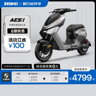 Pro智能铅酸踏板电自 ZEEHO极核新国标电动车AE5i AE5i电自