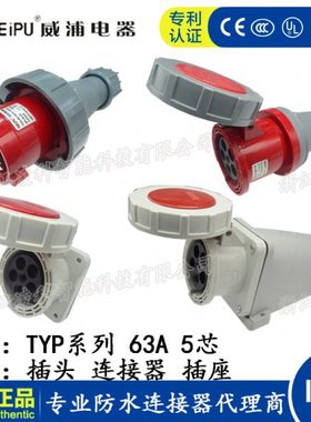 威浦 63A 5芯 防水工业插头插座连接器TYP675 2924明装暗装 IP67