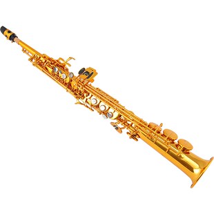 百斯特高音萨斯一体管型降调直管萨斯风演奏