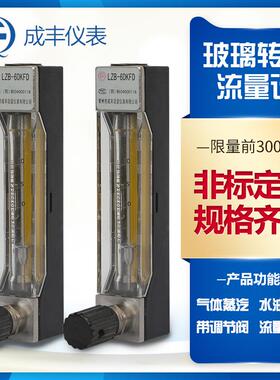 LZB-6DKFD玻璃管转子流量计 带开关通断信号面板式安装螺纹接头