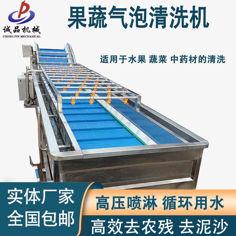 山楂清洗设备杨梅清洗设备商用桂圆莲子全自动番茄果蔬气泡清洗机