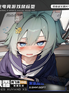 【秋霜】中性控制垫 偏滑 类飞燕 粗面乱纹 游戏鼠标垫