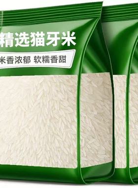 【特价】新米猫牙米长粒香米正宗长款细长猫牙米产地直销现磨现发