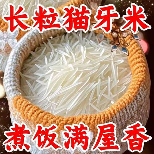 【特价】正宗长粒猫牙米丝苗米晚稻新米优质农家大米清仓清香宜人