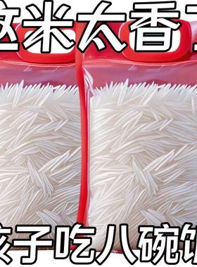 【特价】正宗长粒香丝苗米猫牙米晚稻新米优质农家大米清仓粮食长
