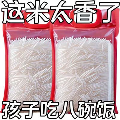 【特价】正宗长粒香丝苗米猫牙米晚稻新米优质农家大米清仓粮食长