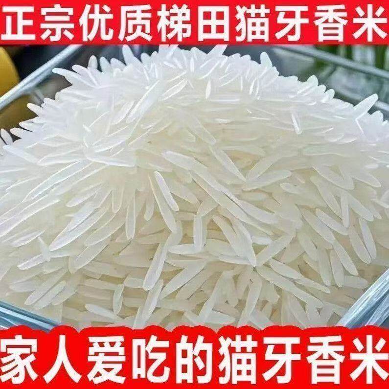 新店冲量】新米猫牙米长粒香米正宗农家细长米猫牙优质超长批发装