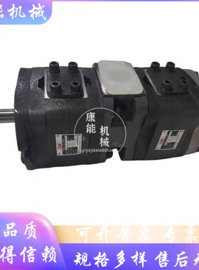 全懋IGP-5/6E/F-32/50/80/125-R/L-20内啮合齿轮泵 注塑机 挤塑机