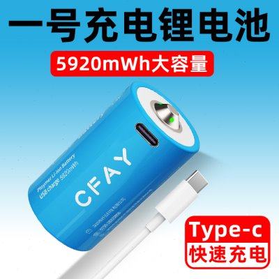 1号充电电池大容量燃气灶热水器电子琴通用充电器D型一号1.5v锂电