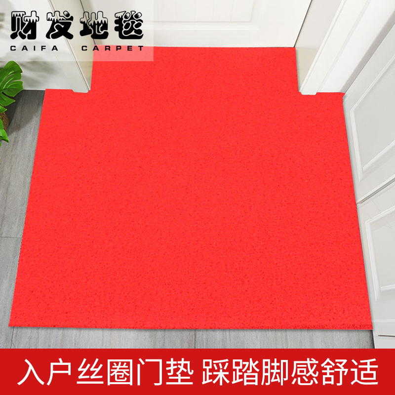 3A塑料pvc喷丝地垫加厚电梯进门垫酒店迎宾 防滑防水红地毯可剪裁