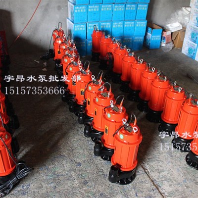 WW污水泵排污泵大家用无堵塞排水泵线农用抽水机