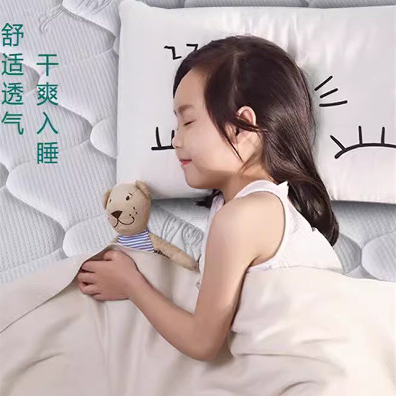 环保棕垫椰棕床垫硬质床垫经济卧室榻榻伴侣护脊护腰