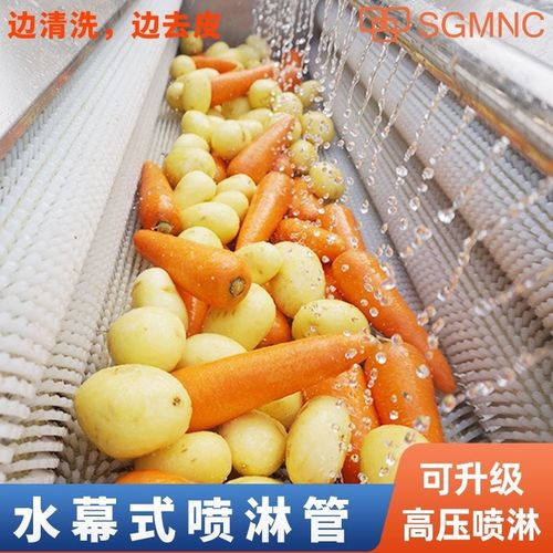 土豆去皮机商用毛辊清洗脱t皮机地瓜芋头藕萝卜生蚝扇贝毛刷清洗