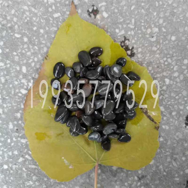 贵阳地暖找平豆石回填沼泽过滤石头水洗滤料石子黑色豆石卵石