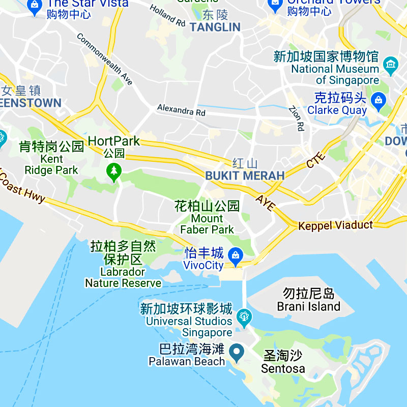 超大巨幅新加坡地图简约现代墙创意海报客厅装饰画现代装饰画平面图片