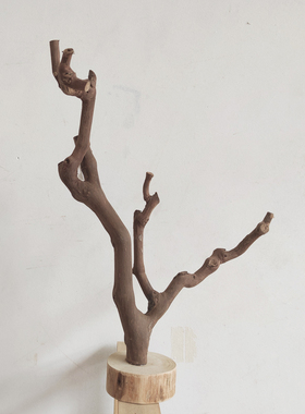 原木树杈带底托摆件 书架客厅茶几摆设 手工天然把玩首饰实木支架