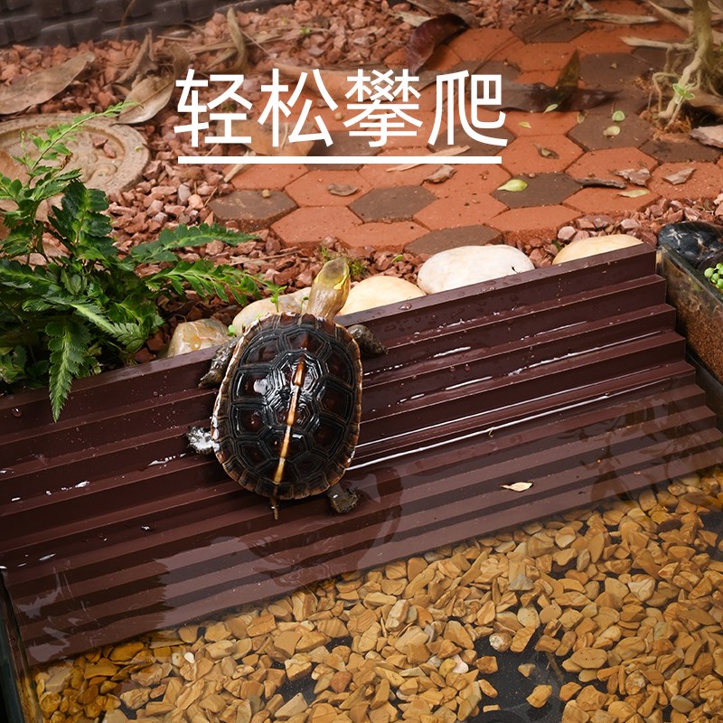 黄缘龟专用泡澡盆玻璃缸大水池安缘半水龟水盆生态造景养殖箱用品