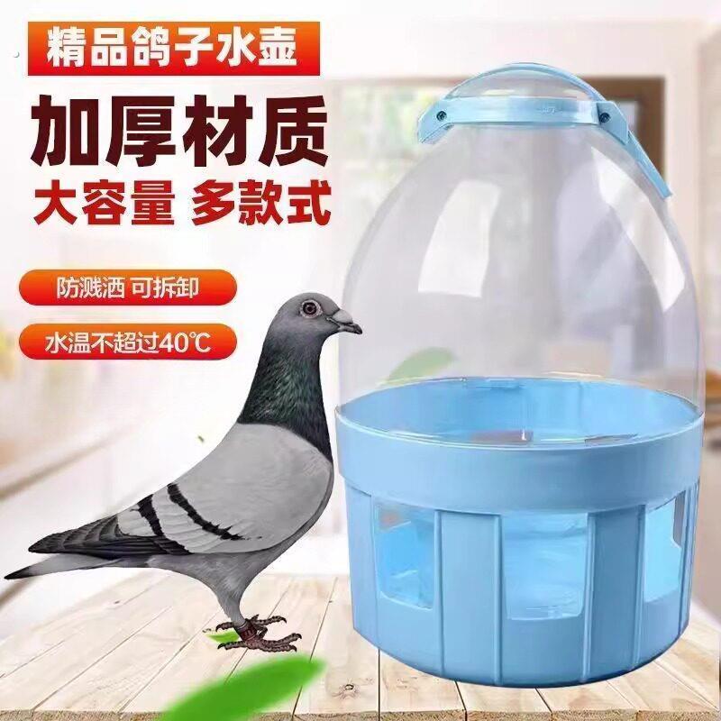 鸽子用品用具饮水器自动喂水信鸽水槽赛鸽喝水桶鸽具鸡用水壶加厚