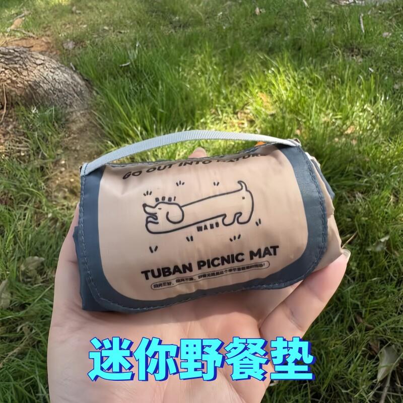 迷你野餐垫便可折叠海边草坪露营地垫携式沙滩垫防水防沙户外超轻