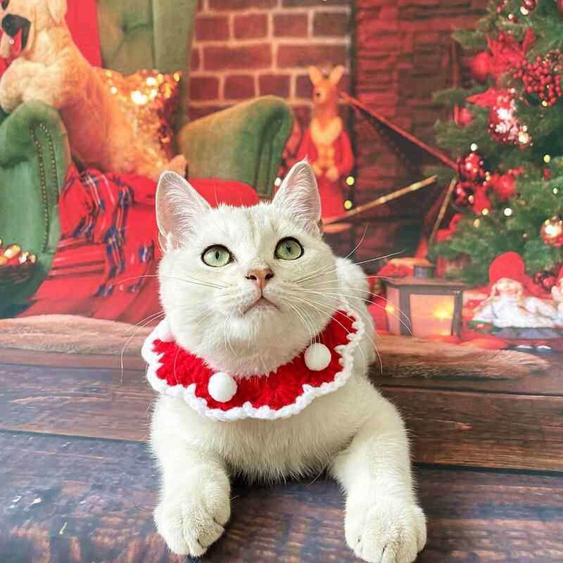 宠物猫咪圣诞项圈针织围脖狗狗新年衣服饰品小猫小狗圣诞装扮