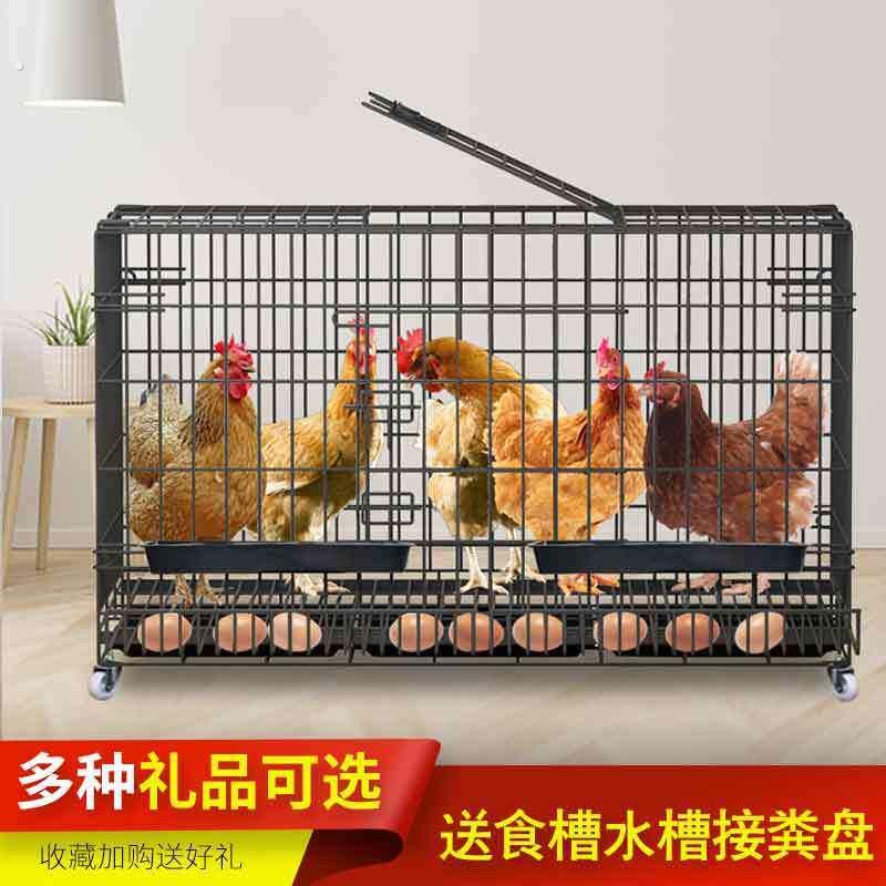 鸡笼子家用养鸡笼大号特大号滚蛋鸡笼折叠养殖笼鸡舍铁丝下蛋鸡笼